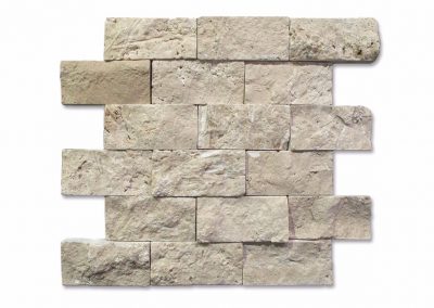 Split Face Mosaic Panel