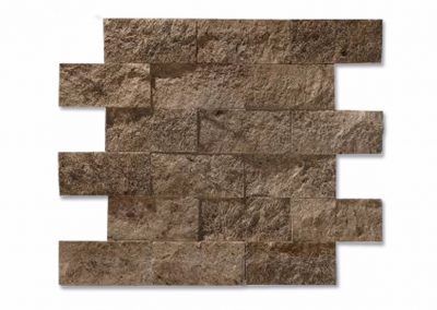 Split Face Mosaic Panel